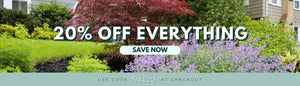 20% OFF EVERYTHING WITH CODE FALL20