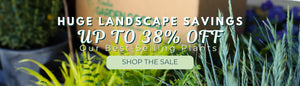 UP TO 38% OFF BEST SELLERS