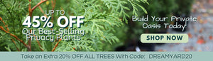UP TO 45% OFF BEST SELLING PRIVACY TREES! Build Your Private Oasis Today: Shop Now