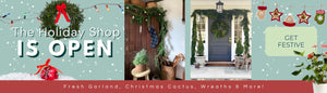 THE HOLIDAY SHOP IS OPEN; FRSH GARLAND, CHRISTMAS CACTUS, WREATHS & MORE