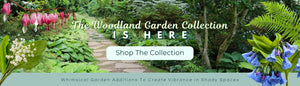 The Woodland Garden Collection IS HERE