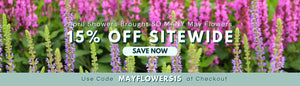 15% OFF SITEWIDE with code MAYFLOWERS15 at checkout