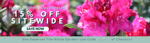 Happy Mother's Day Weekend:15% OFF SITEWIDE USE CODE MOM15