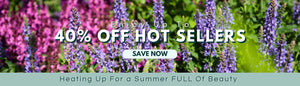 UP TO 40% OFF HOT SELLERS