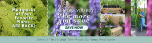 THE MORE YOU BUY THE MORE YOU SAVE: MULTIPACKS ARE BACK