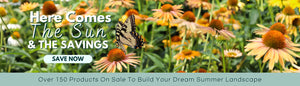 Here Comes The Sun & The Savings! Over 150 Products On Sale. Build Your Dream Summer Landscape