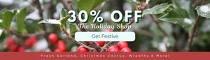 30%  OFF THE HOLIDAY SHOP