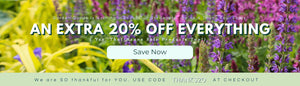 20% OFF EVERYTHING. USE CODE THANKS20 AT CHECKOUT