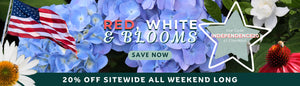 RED WHITE & BLOOMS: 20% OFF SITEWIDE WITH CODE INDEPENDENCE20