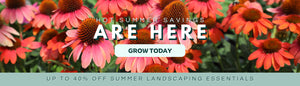 HOT SUMMER SAVINGS ARE HERE: UP TO 40% OFF SUMMER LANDSCAPING ESSENTIALS