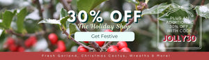 30%  OFF THE HOLIDAY SHOP