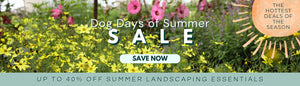 DOG DAYS OF SUMMER SALE: UP TO 40% OFF SUMMER LANDSCAPING ESSENTIALS