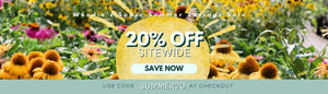 WOODIE'S SUPER SUMMER SAVINGS SALE 20% OFF SITEWIDE WITH CODE SUMMER20