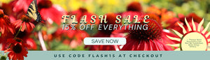 15% OFF SITEWIDE WITH CODE FLASH15
