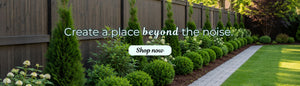shop privacy landscaping hedge