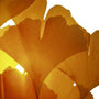 Close up of Ginkgo autumn gold tree leaf