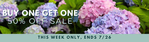 Buy One Get One 50% off Sale