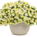 Callibrachoa Superbells Double Chiffon in a planter