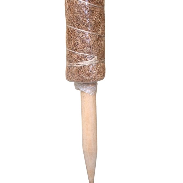 coconut moss pole Coco Coir Moss Poles | Houseplant Care