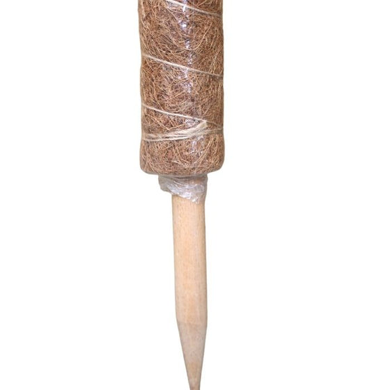 moss pole wooden stake