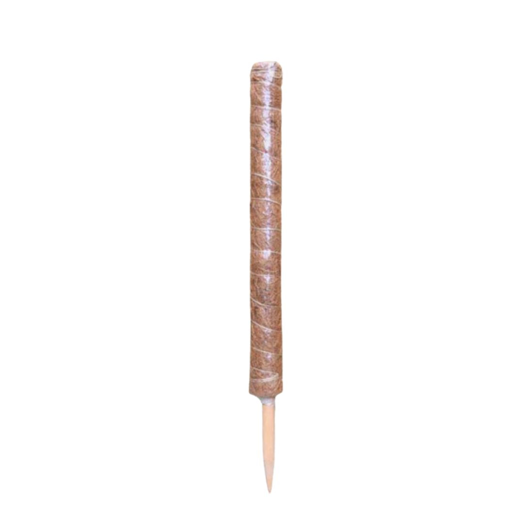 coco coir moss pole Coco Coir Moss Poles | Houseplant Care