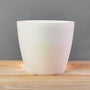 white plastic plant pot crescent eva