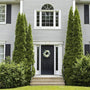 DeGroot's Spire Arborvitae sold online planted next to a porch