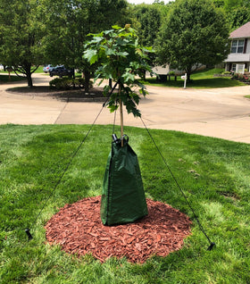 DeWitt Dew Right Tree Watering Bag