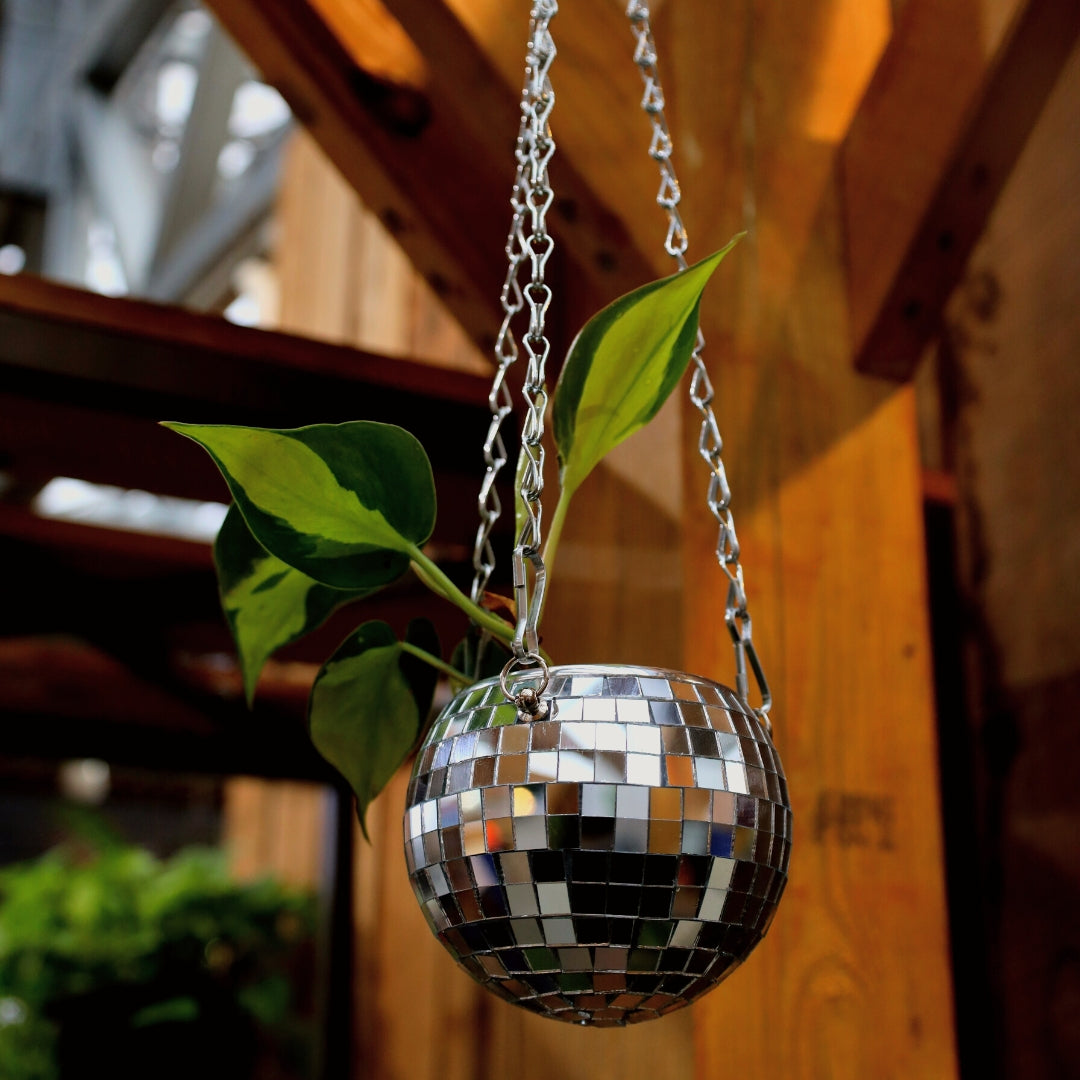 hanging ball planter Buy Disco Ball Hanging Planter Online