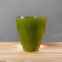 Avocado Urn 5.5 inch EcoForms planter and saucer