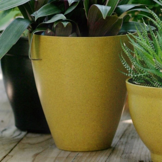 Harvest Color Urn 5.5 inch EcoForms planter and saucer