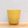 Harvest Color Nova 5 inch EcoForms Planter and Saucer