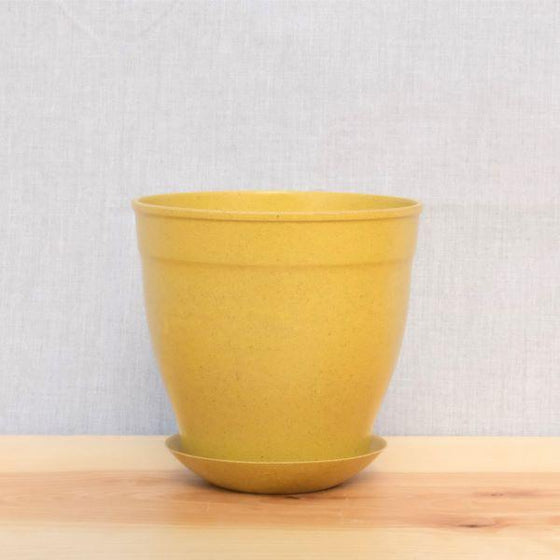 Harvest Color Nova 5 inch EcoForms Planter and Saucer