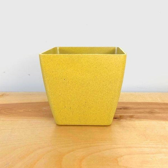 EcoForms 6 inch Quadra Pot in Harvest Color