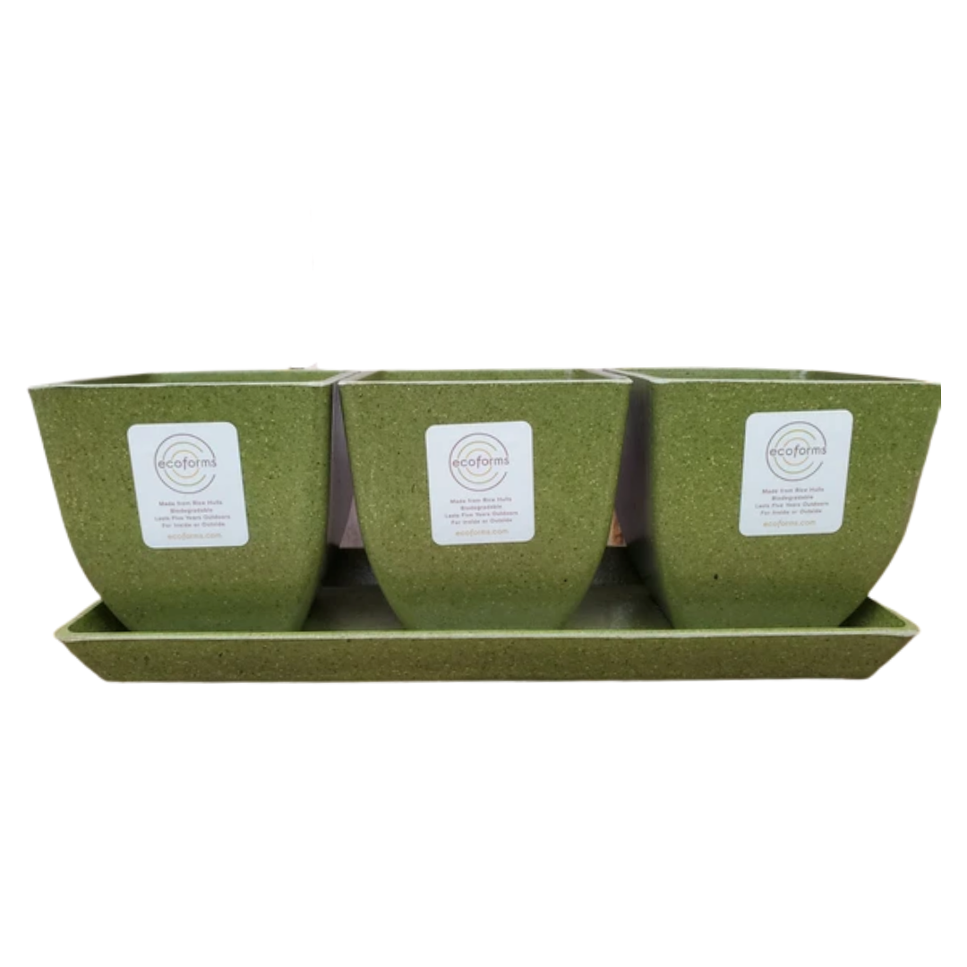 Buy Quadra Trio 3.5 Inch Planter Set by EcoForms | Garden Goods Direct