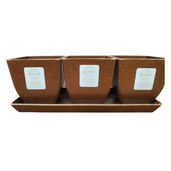 Mocha Color Quadra Trio 3.5 inch planter set by EcoForms