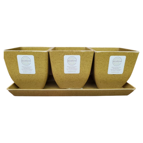 Harvest Color Quadra Trio 3.5 inch planter set by EcoForms