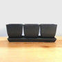 EcoForms Quadra Trio 3.5 Inch Square Rice Hull Planter Set in ebony