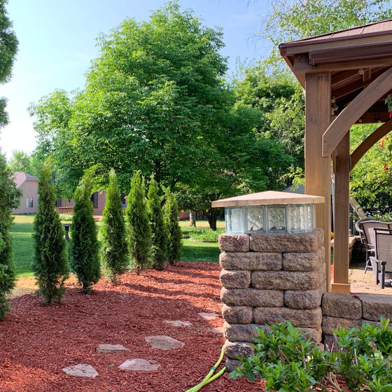 our 4-5 ft tall emerald green arborvitaes planted along a property line for privacy in the landscape