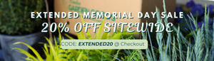 CELEBRATE MEMORIAL DAY WITH 20% OFF SITEWIDE