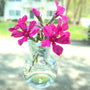 pink flower in flower illusion vase with blurred background and shadows