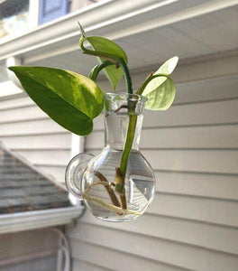 Floral Illusion Glass Vase