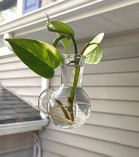 Floral Illusion Glass Vase