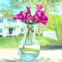 floral illusion glass vase with pink flowers in front a blurred background with a house