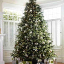 fraser fir christmas tree decorated with silver decorations for a nice contrast