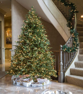 Fraser Fir Christmas Tree