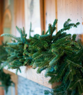 Fresh Fraser Fir Garland