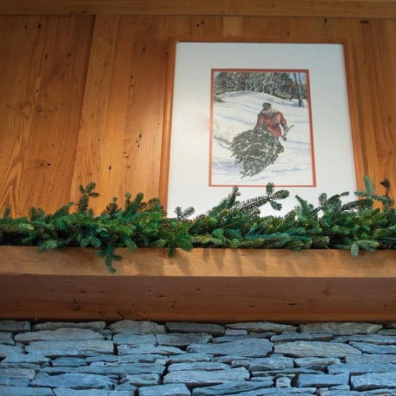 fraser fir has stiff green foliage that is fragrant