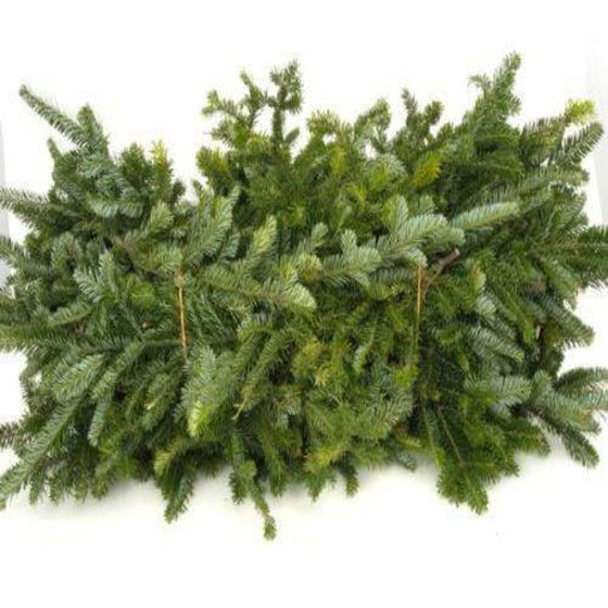 fraser fir garland bunch makes for classic holiday decor