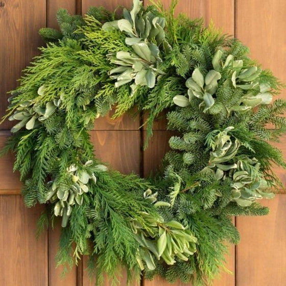 fresh mixed douglas fir and cedar christmas wreath